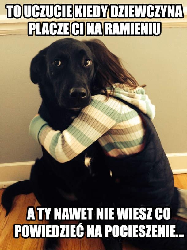 żart, śmieszne, humor, piesek