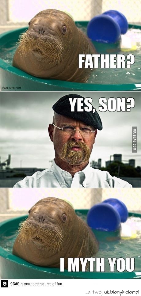 śmiesz, zdjęcie, humor, fun